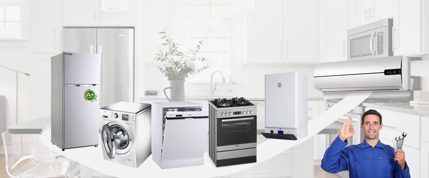 İnönü Electrolux Servisi